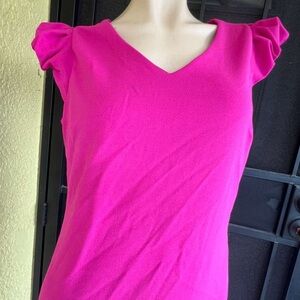 Enfocus Studio Vibrant Pink V-Neck Dress